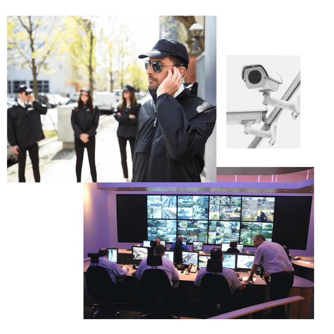 AlertLine Security Organisation | Team Structure & Roles